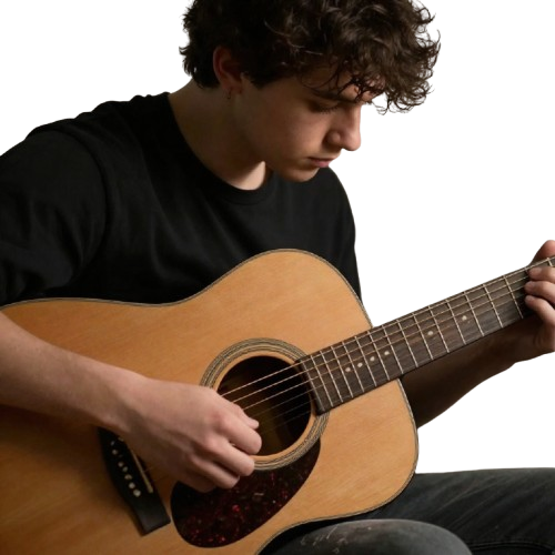 violao